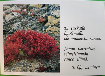 kortti ** Kukka ja teksti - erilaisia valokuvakortteja