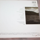 Tanita Tikaram - Ancient Heart LP - pikkukuva 2