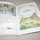 Erwin Moser Manne ja Vili Puunrunkotalo - pikkukuva 3