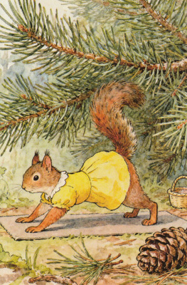 Orava joogaa havupuun alla