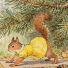 Orava joogaa havupuun alla - pikkukuva 1