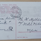 Kirjainkortti M - pariskunta metsässä, p. 1909 - pikkukuva 2
