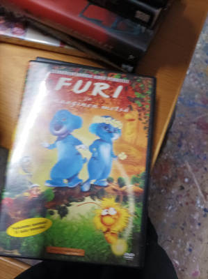 Furi ja maaginen metsä