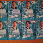 2023-24 Pelicans Team Issue 2€ kpl tai kaikki 30€ - pikkukuva 1