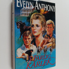 Evelyn Anthony : Farlig kärlek - pikkukuva 1