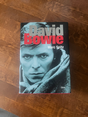 Marc Spitz: David Bowie Sid. v.2010