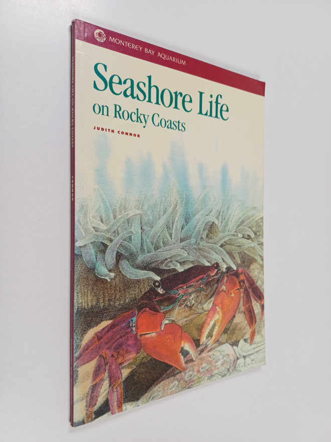 Judith Connor : Seashore Life on Rocky Coasts
