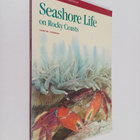 Judith Connor : Seashore Life on Rocky Coasts - pikkukuva 1
