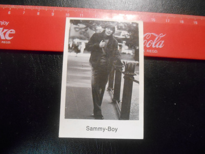 K14. Panda POP 100 # Sammy-Boy "Babitzin" /Varjojen yö
