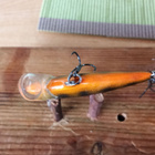 Rapala sinking 5cm - pikkukuva 4