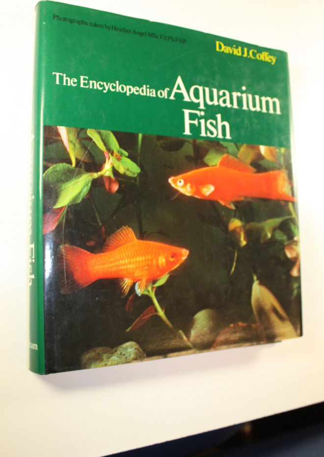 David J. Coffey : The encyclopedia of aquarium fish