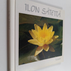 Ilon säteitä - pikkukuva 1