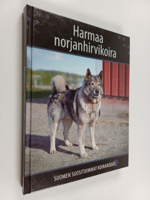 Harmaa norjanhirvikoira