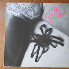 The Flyin' Spiderz – The Flyin' Spiderz (RARE punk-LP, sexy) - pikkukuva 1