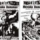 HAVANA BANANAS punk-lehti nro:t 5-8 - pikkukuva 2