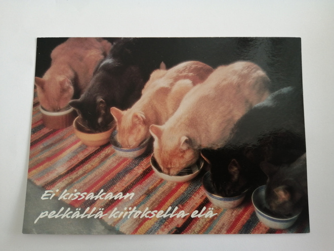 Ei kissakaan pelkällä kiitoksella elä