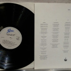COLIN JAMES HAY Looking For Jack CBS 450355 1 1987 Englanti - pikkukuva 3