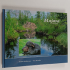 Heikki Kokkonen : Majava = Beaver - pikkukuva 1