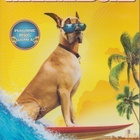 DVD: Marmaduke - pikkukuva 1
