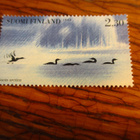 suomi pm 2,30 1993 kuikat kulkematon - pikkukuva 1