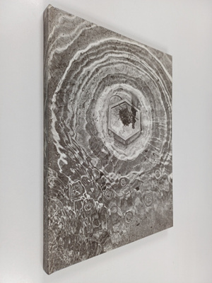Orazio Berquier : Fountains : a walk through zurich = Bru...