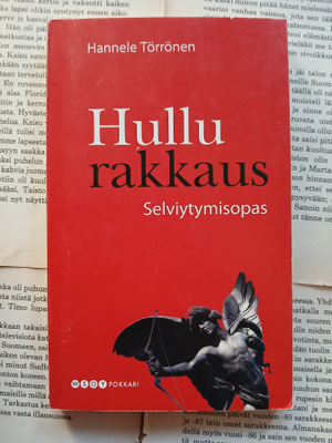Hannele Törrönen - Hullu rakkaus: selviytymisopas (pokkari)