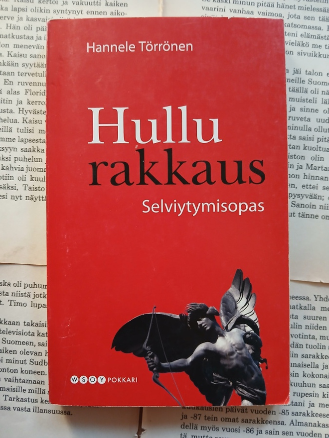 Hannele Törrönen - Hullu rakkaus: selviytymisopas (pokkari)