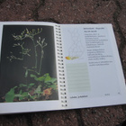 KARHUNRUOHOSTA SUDENMARJAAN METSÄKASVIOPAS - pikkukuva 2