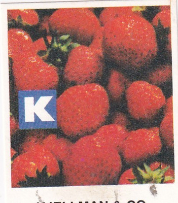 Esse, Kjellman & Co     b588