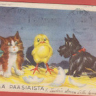 A Tilgmann Kissa tipu ja koira - pikkukuva 1