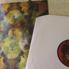 cuzo lp: son imaginacions teves 2013 - pikkukuva 4