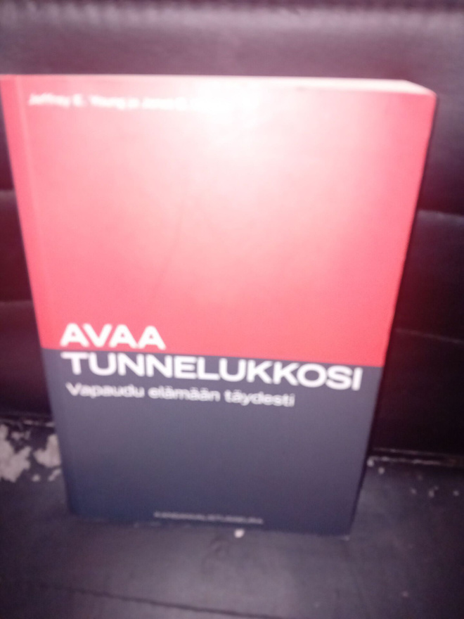 Young & Klosko : Avaa tunnelukkosi ( SIS POSTIKULU )