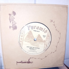 7" single Leevi and the Leavings: Raparperitaivas ( SIS POS - pikkukuva 2