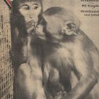 Viikko Sanomat n:o 45 1953 Pori. MS Kungsholm. Naispoliisit. - pikkukuva 1