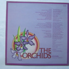 The Orchids: The Orchids  LP    1980     Powerpop - pikkukuva 2