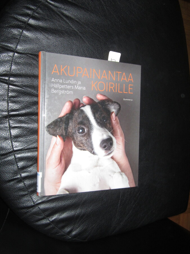 Lundin : Akupainantaa koirille