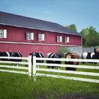 Agricultural Simulator Deluxe (PC) (UUSI) ALE! -40%! - pikkukuva 4