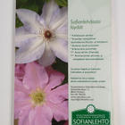 Uusi safiiri 2/2010 - pikkukuva 2