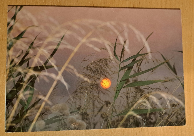 heinänkorret kuutamossa, kulkenut 1987 taittokortti
