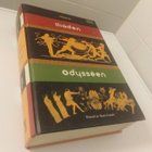 Homeros: Iliaden Odysseen - pikkukuva 1