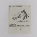 Trout And Salmon vuosikerta 1982 - pikkukuva 3
