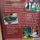 Viiru ja Pesonen Viirun syntymäpäivä- DVD - pikkukuva 2