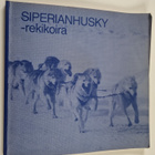 Siperianhusky, rekikoira - pikkukuva 1
