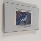 National Audubon Society : National Audubon Society Pocke... - pikkukuva 1