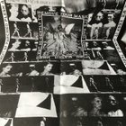 CRASS: Penis Envy Lp levy - pikkukuva 4