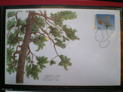 FDC Mänty 3,50 € 1.1.2002 - LaPe 1599