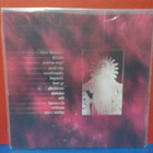 YUNG LEAN + SAD BOYS - UNKNOWN MEMORY M/M SWE 2014 LP - pikkukuva 2
