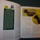 Tracy Libby: Staffordshire Bull Terrier ( Sis.postikulut) - pikkukuva 5