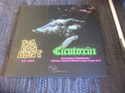 LP - Cicutoxin / Pigeon Hunt - Split