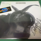 CULT - THE CULT LP DUFFYN NIMMARILLA - pikkukuva 1